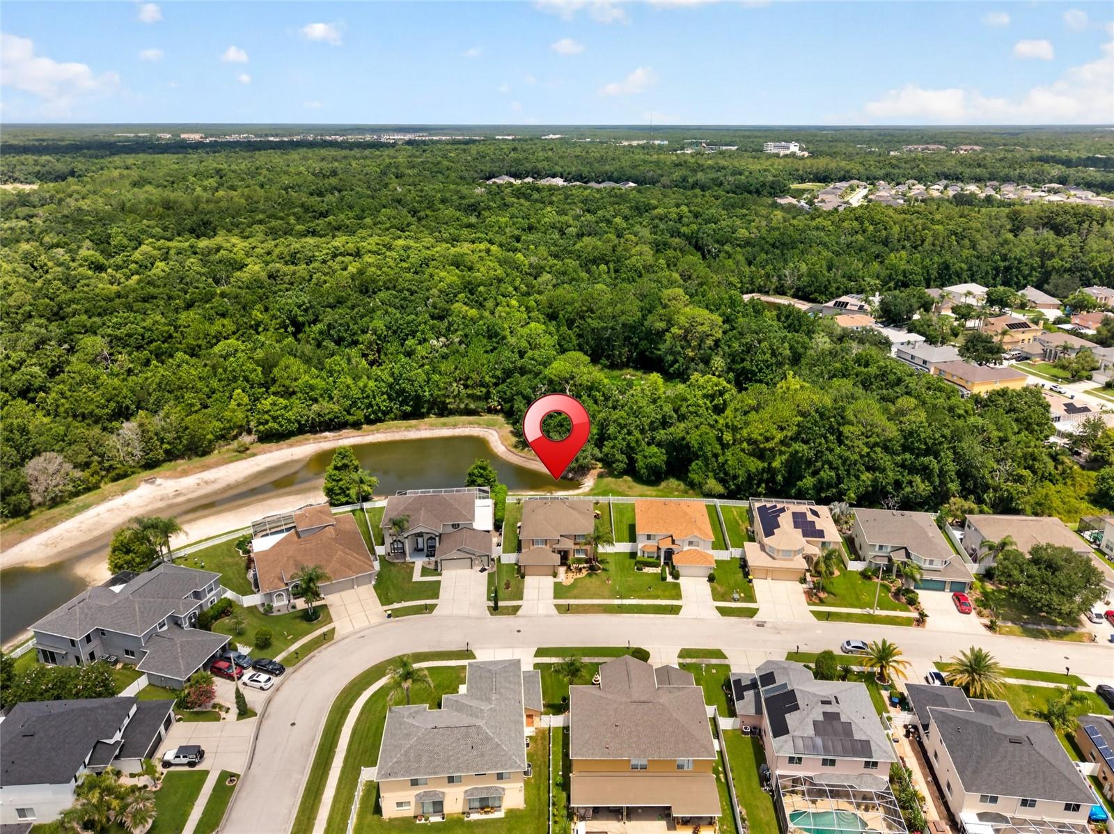 26943 CORAL SPRINGS DR — photo 57