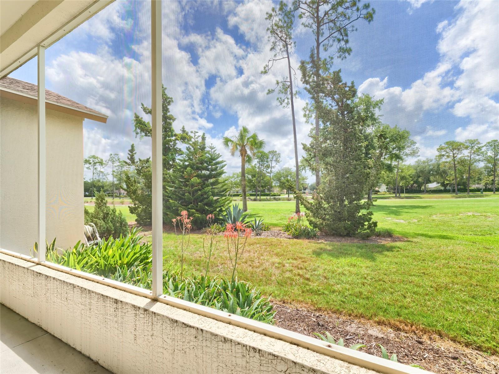 11228 WINDRUSH CIR — photo 14