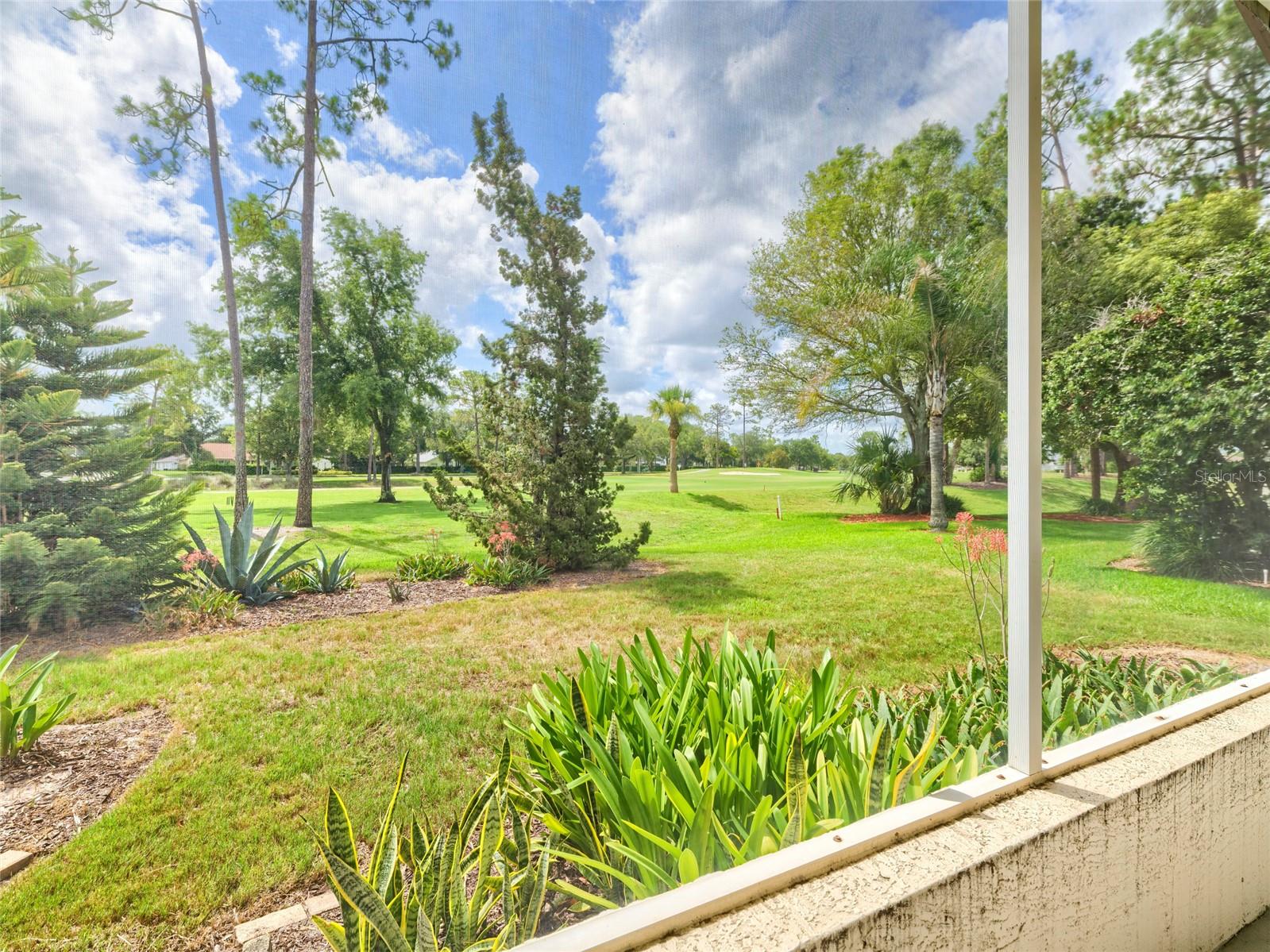 11228 WINDRUSH CIR — photo 36