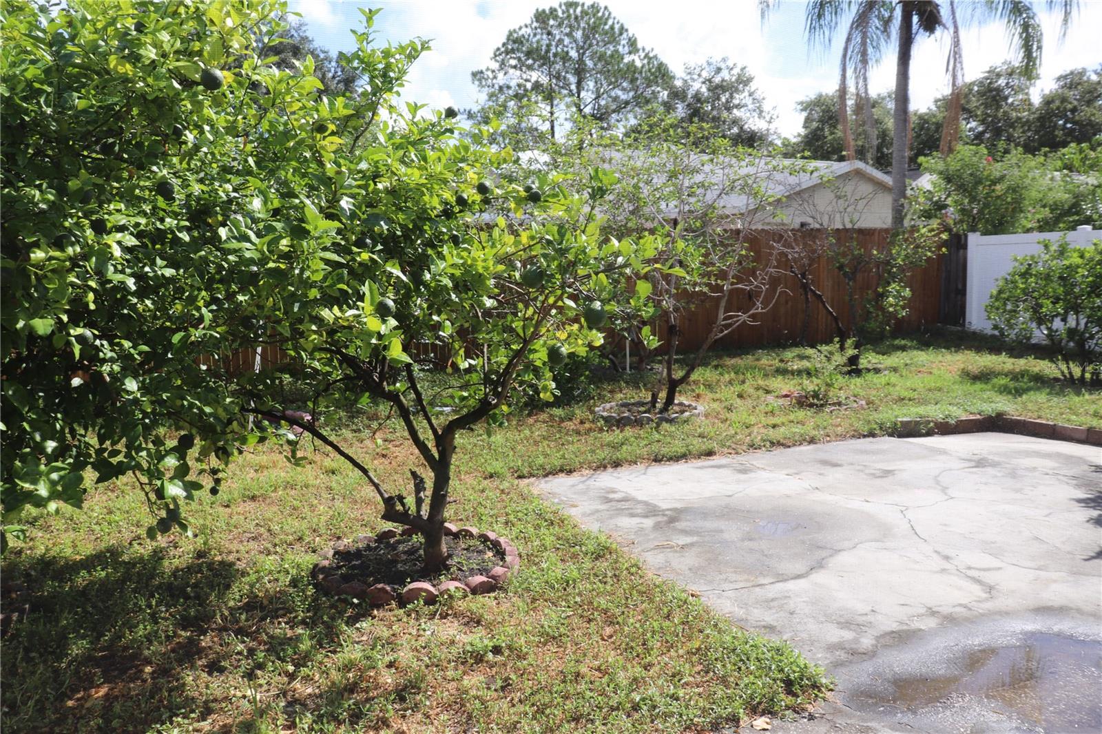 11012 BRIGHTSIDE DR — photo 15