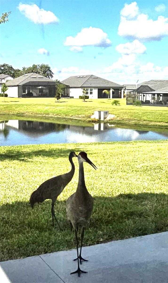 10583 TUPPER CAY DR — photo 27