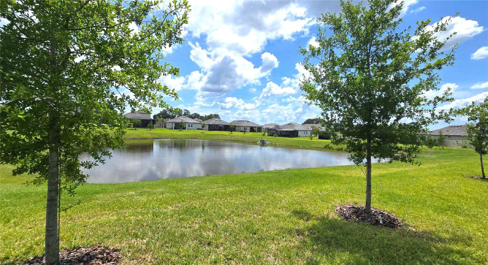 10583 TUPPER CAY DR — photo 24
