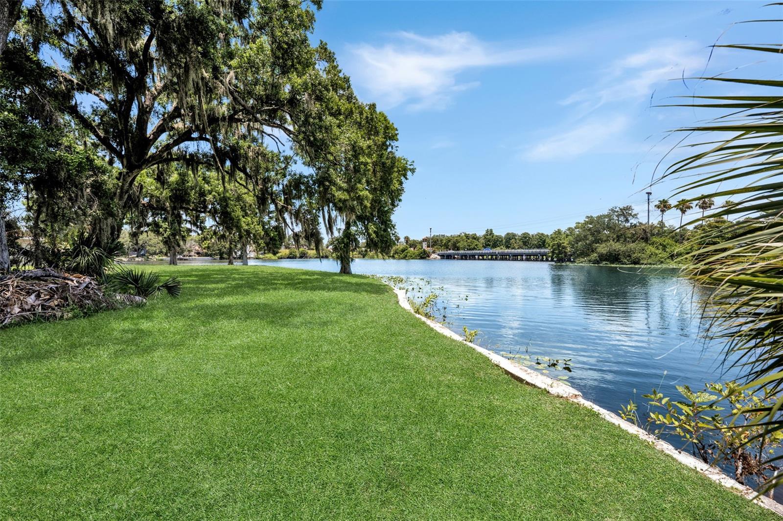 8020 TIERRA VERDE DR — photo 47