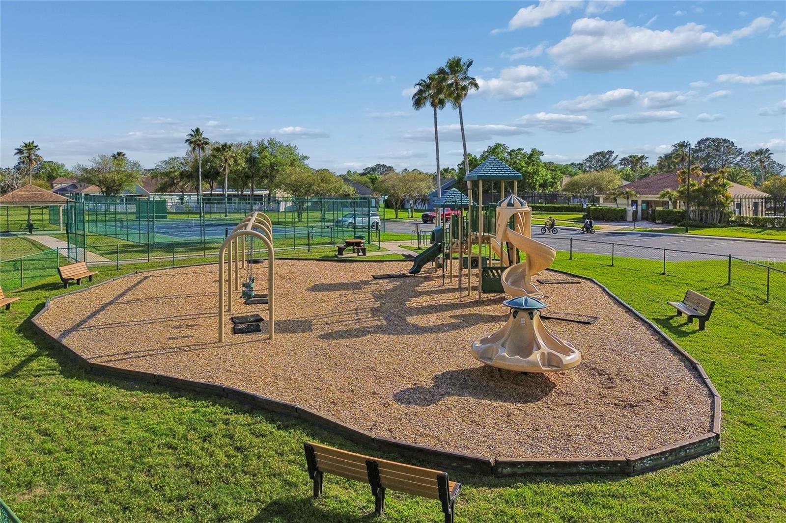 27211 LIRIOPE CT — photo 47