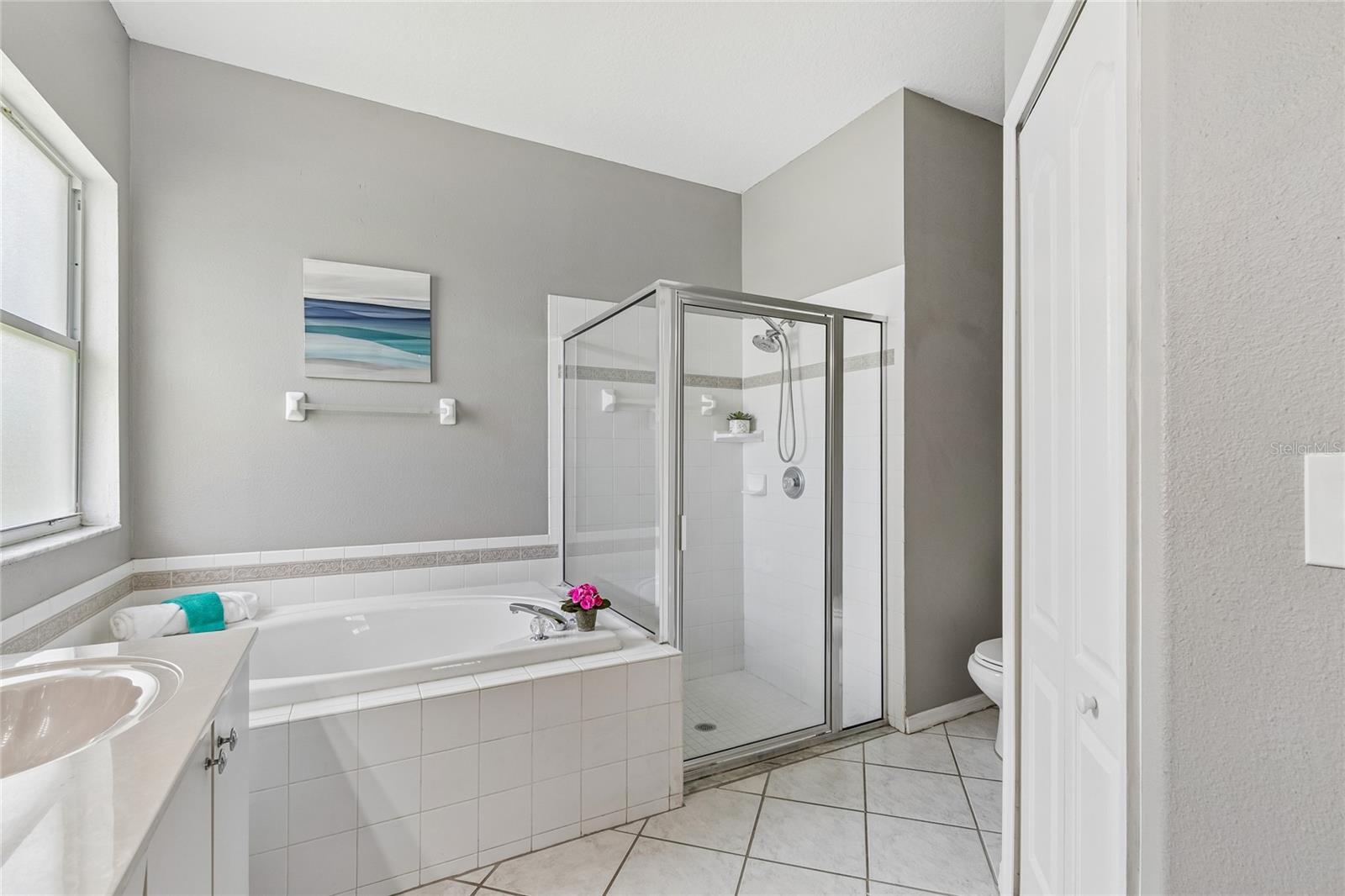 27211 LIRIOPE CT — photo 23