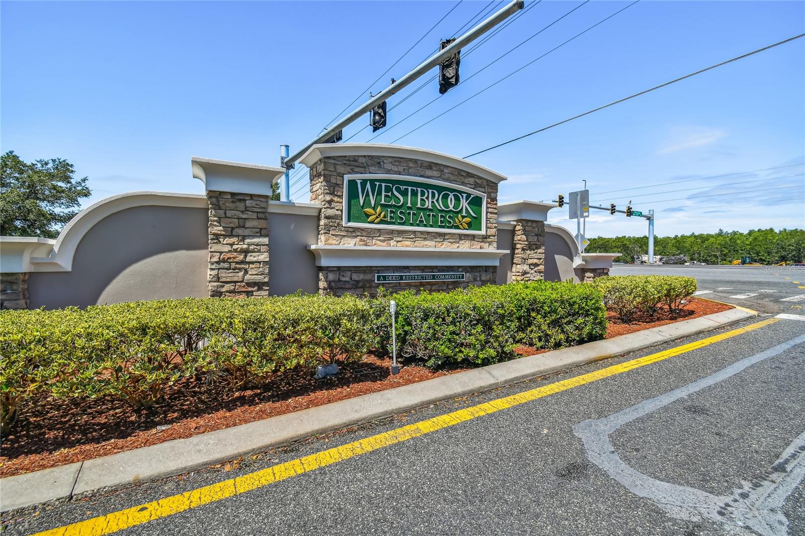 27211 LIRIOPE CT — photo 49