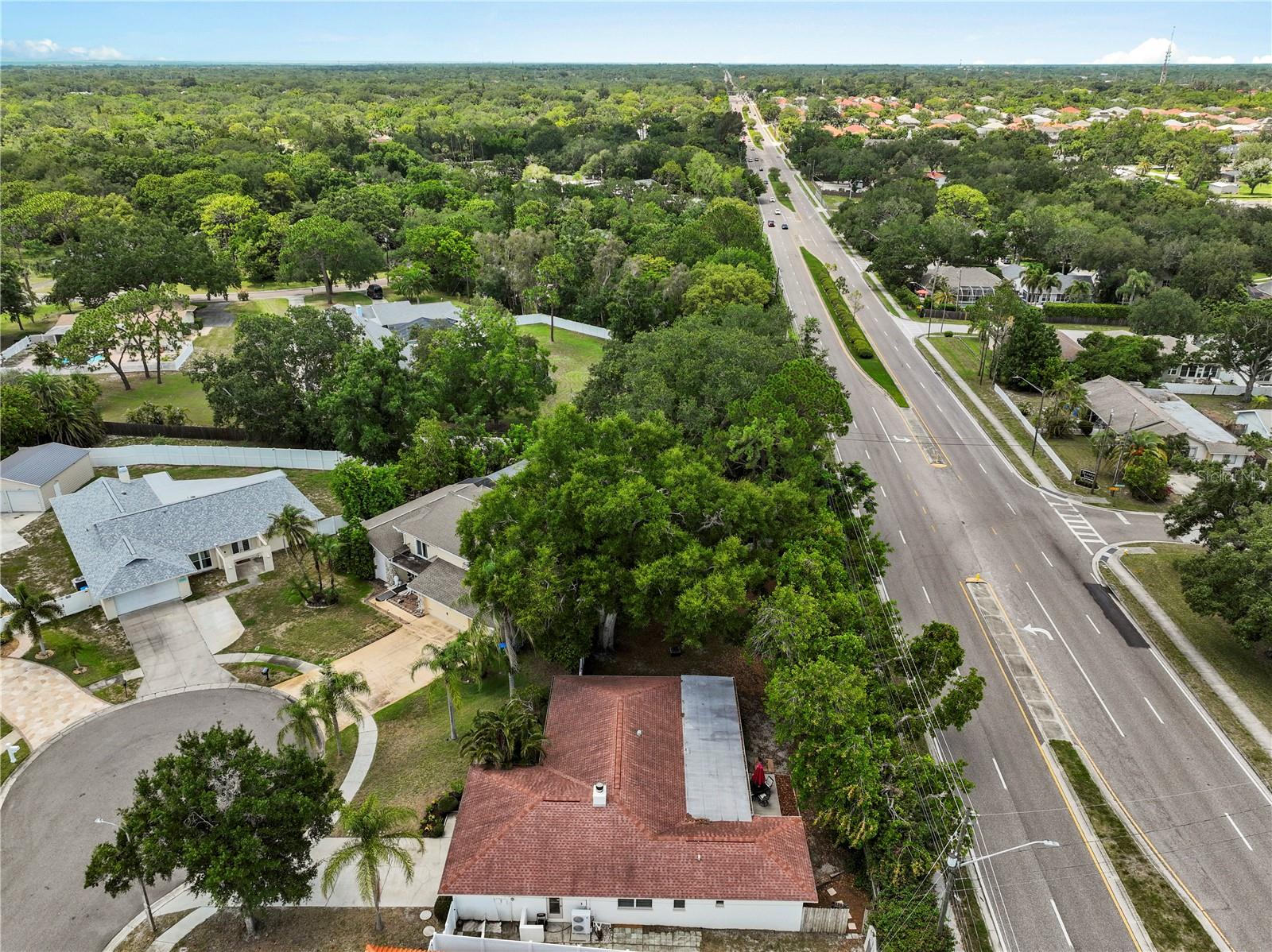 3153 CARLOS DR — photo 43