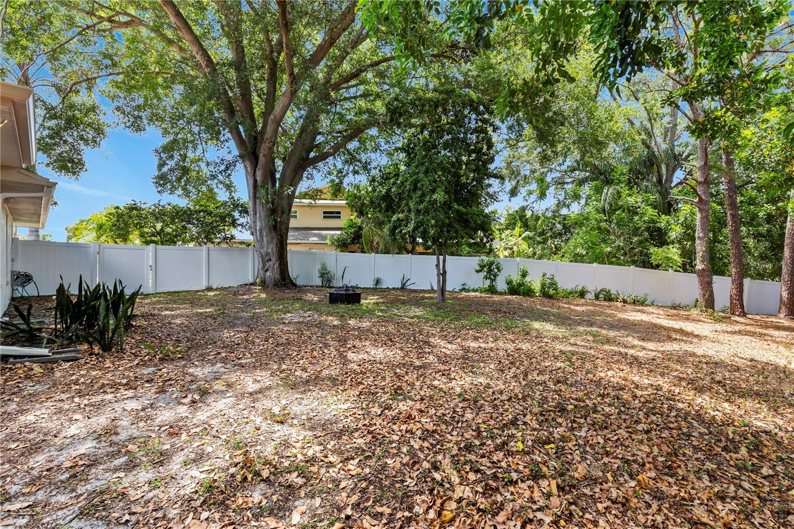 3153 CARLOS DR — photo 35