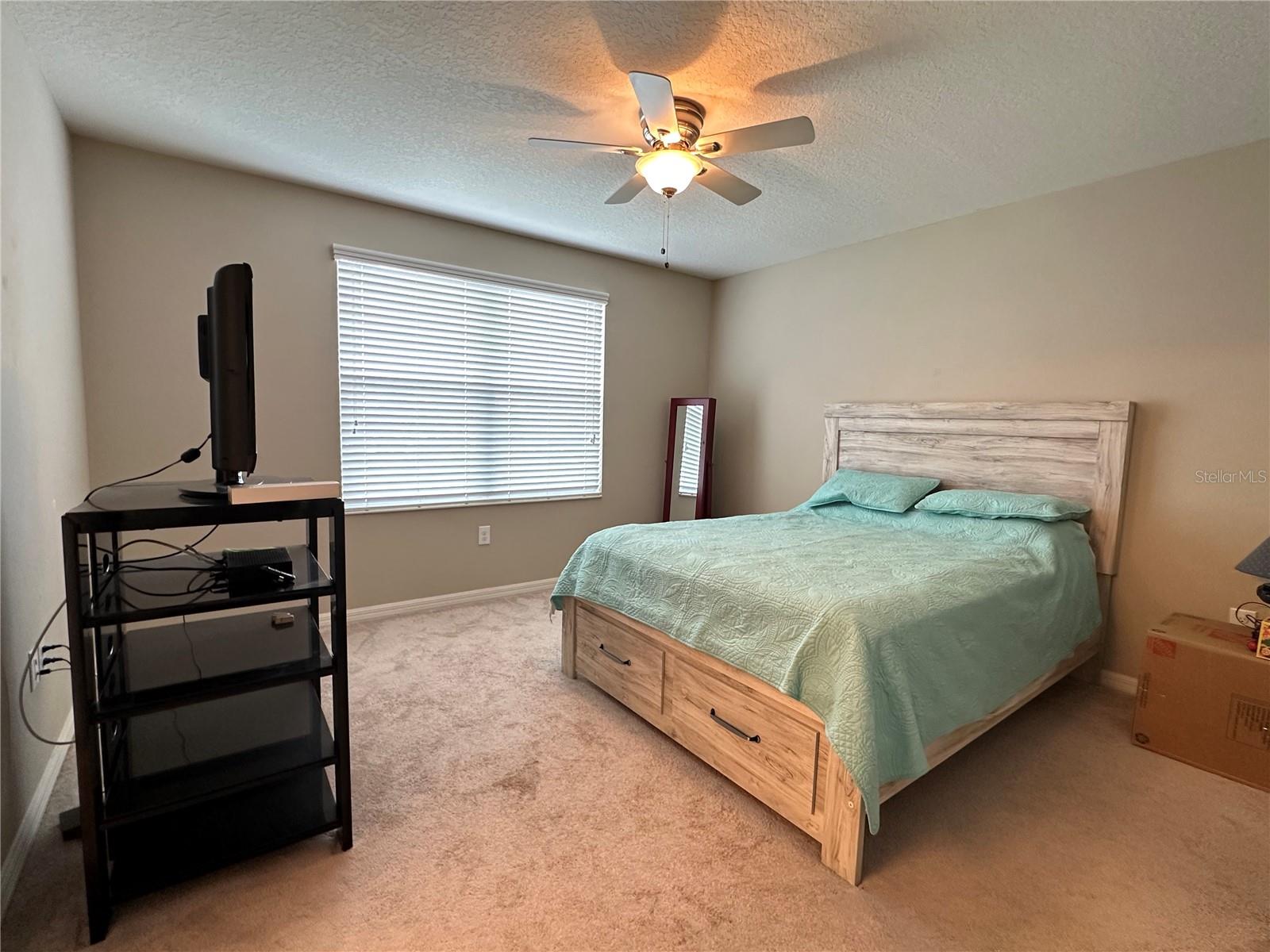 7089 WOODCHASE GLEN DR — photo 13