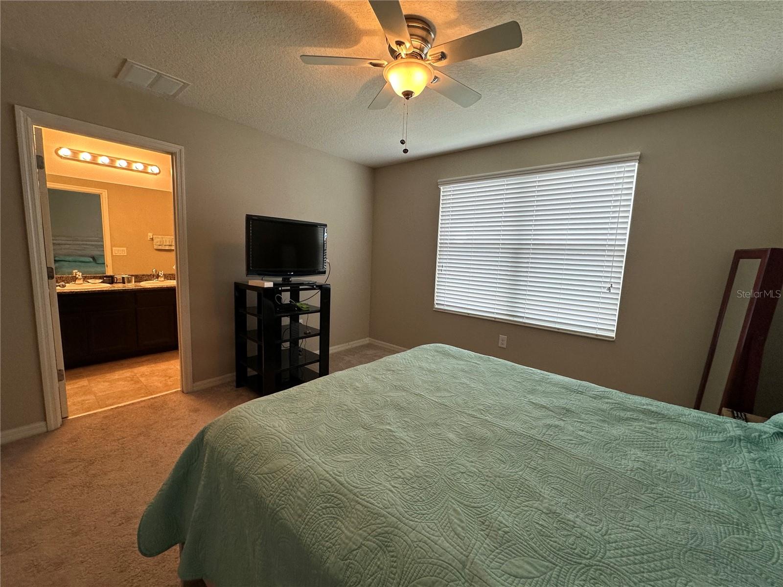 7089 WOODCHASE GLEN DR — photo 16