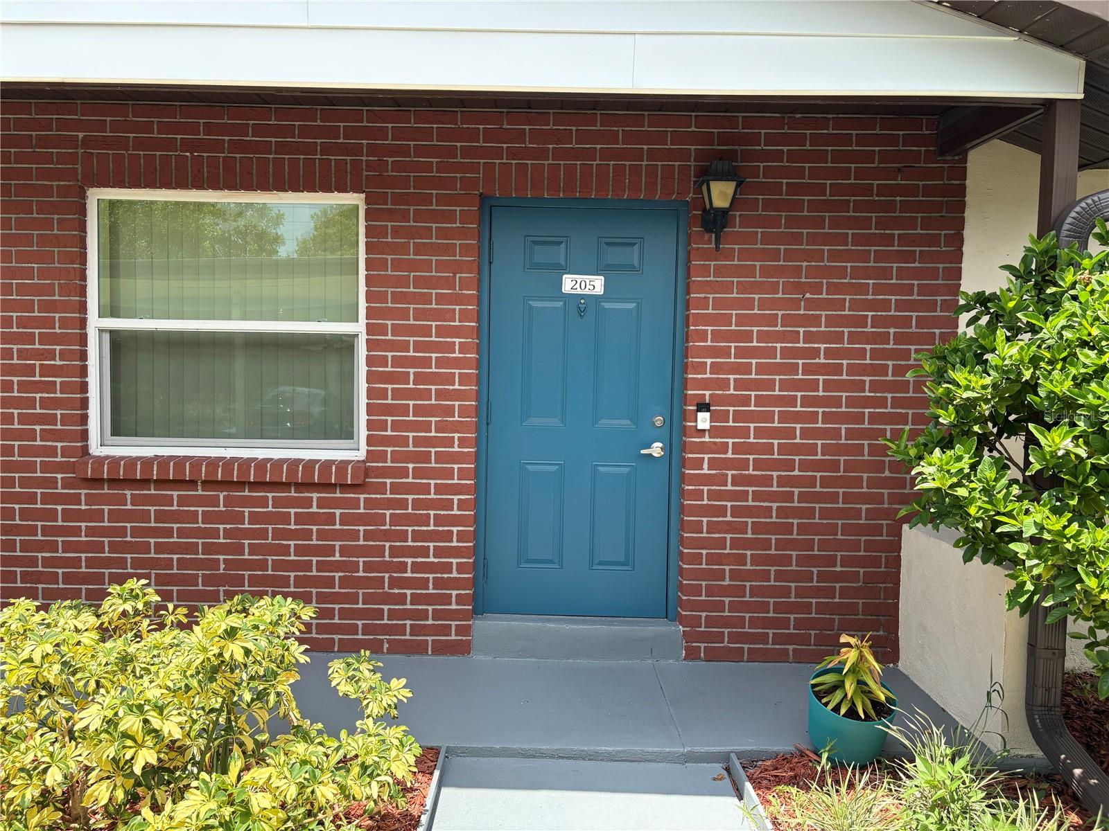 24862 US HIGHWAY 19 N #205 — photo 2
