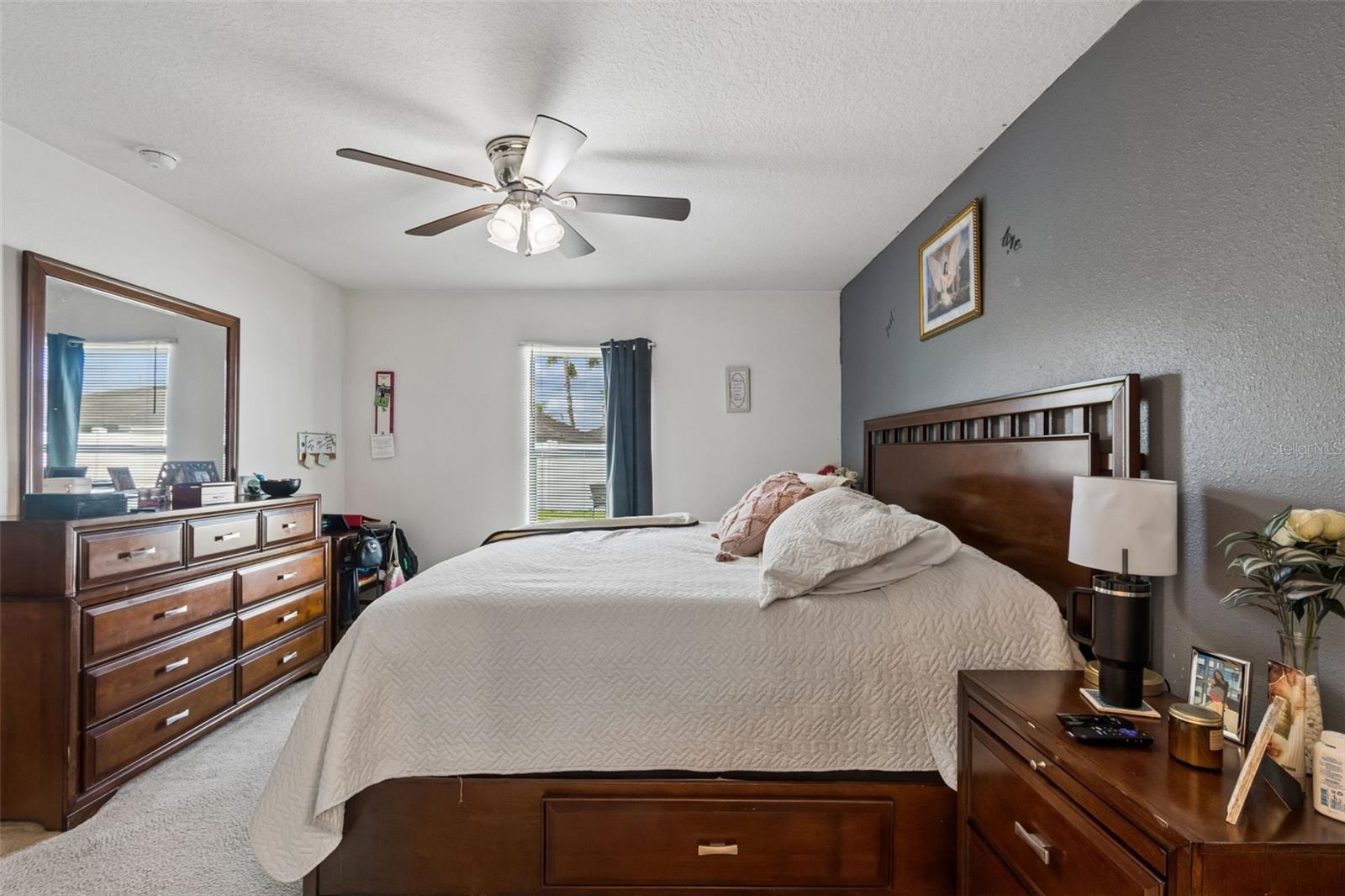 14217 ALISTAR MANOR DR — photo 23