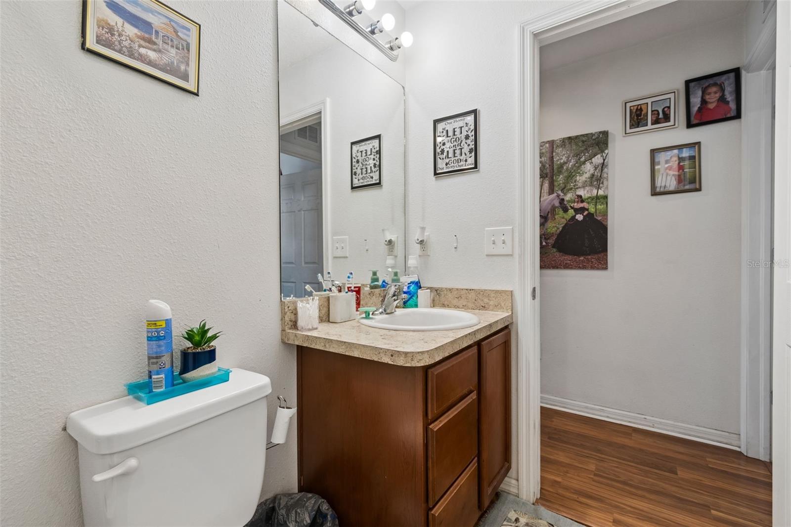14217 ALISTAR MANOR DR — photo 33