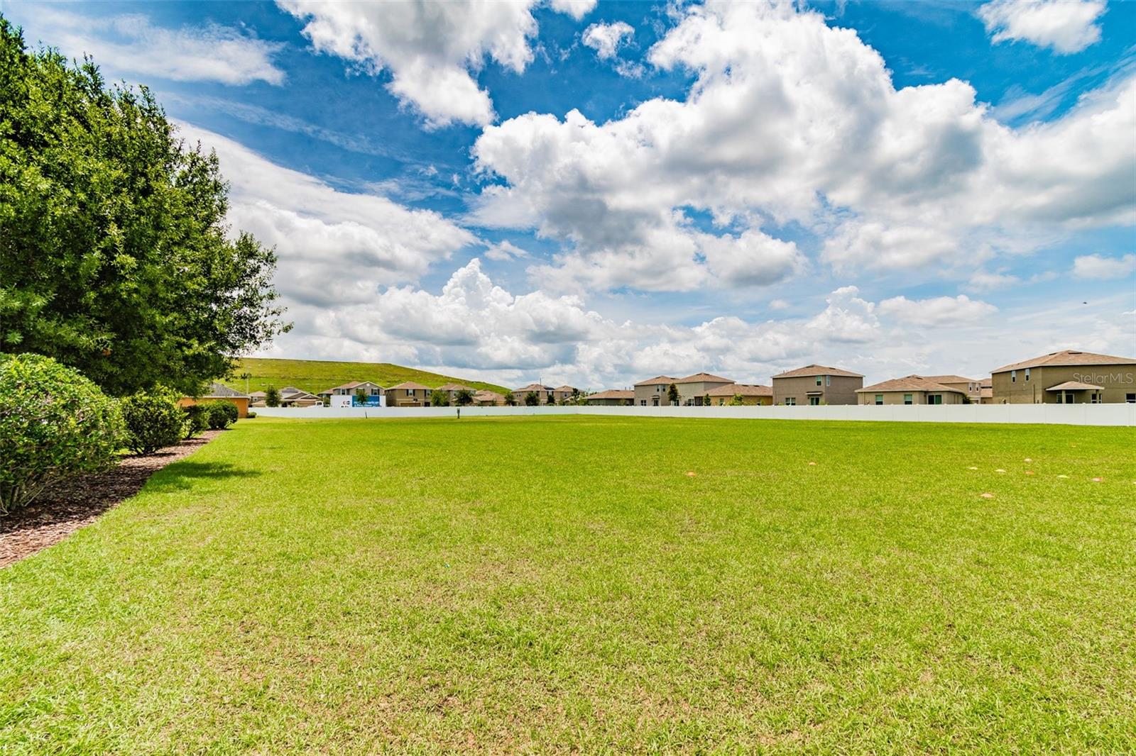 14217 ALISTAR MANOR DR — photo 60