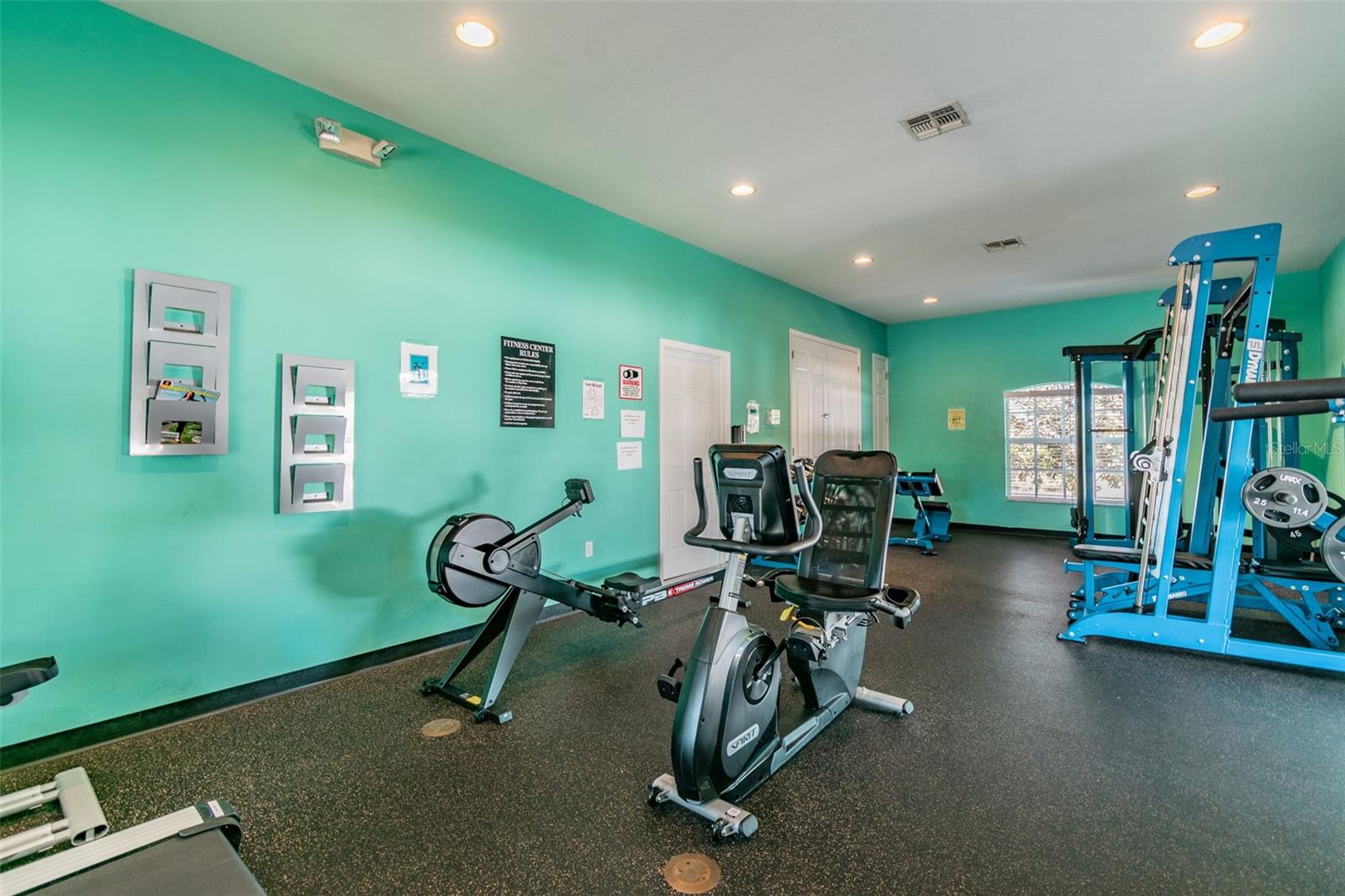 14217 ALISTAR MANOR DR — photo 53