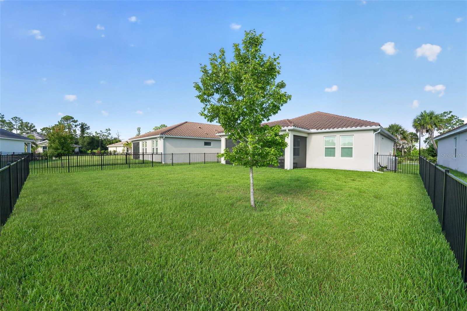 184 DAYLILY BLVD — photo 25