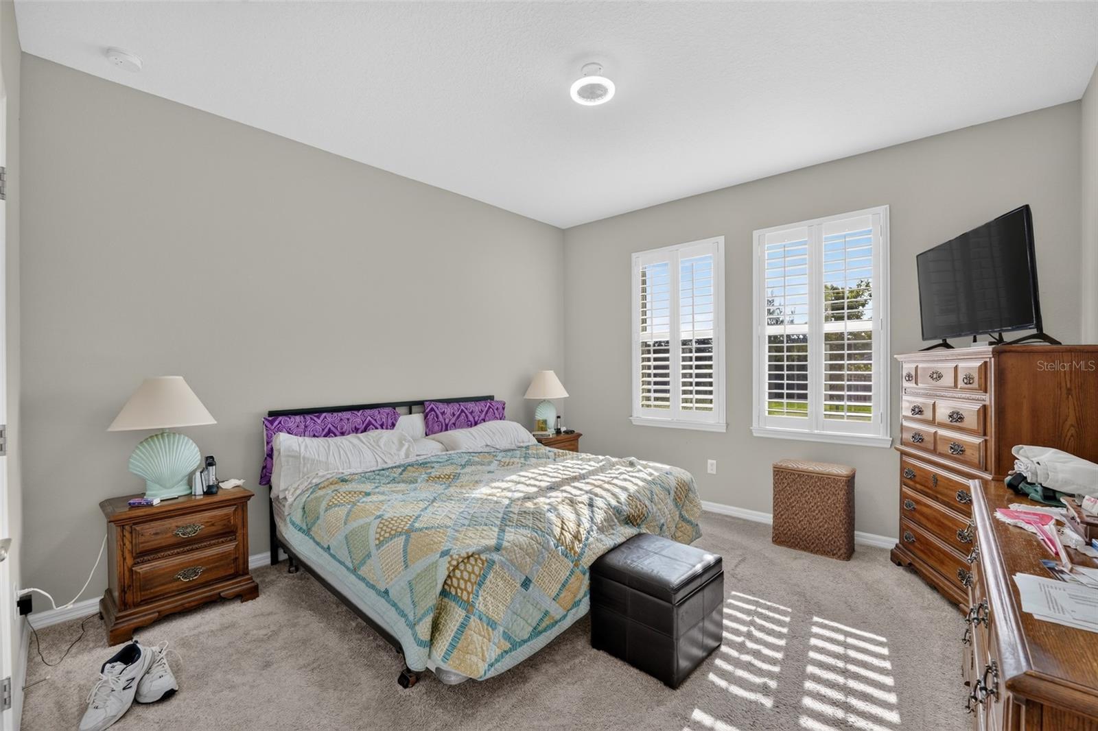 184 DAYLILY BLVD — photo 15