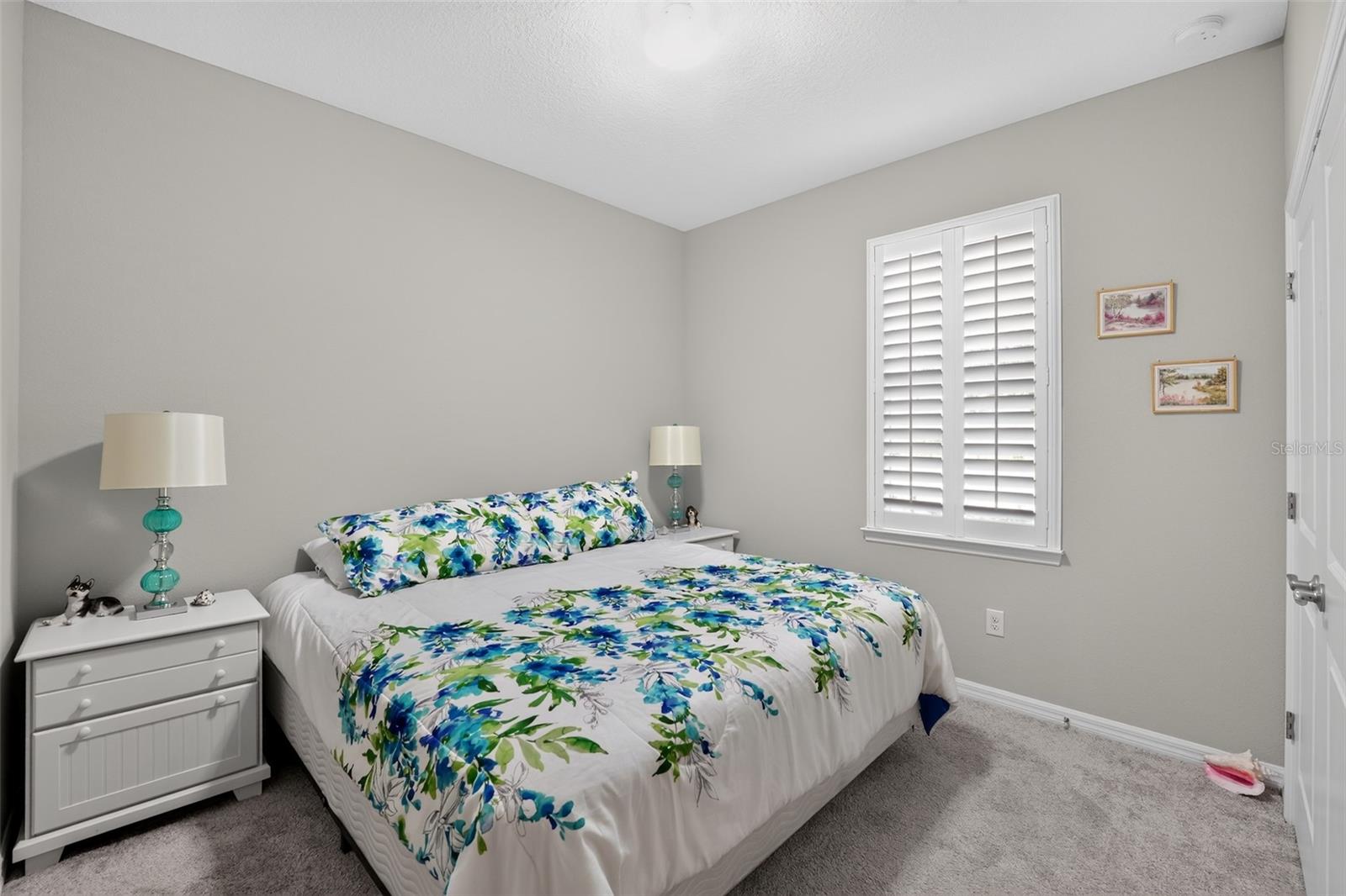 184 DAYLILY BLVD — photo 22