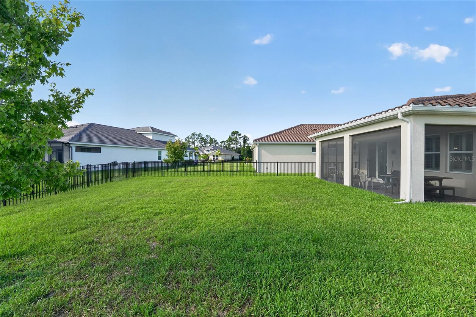 184 DAYLILY BLVD — photo 26