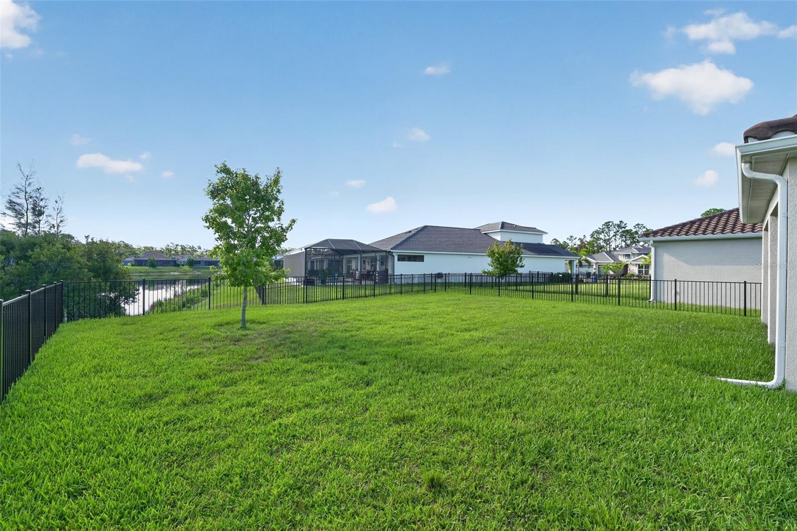 184 DAYLILY BLVD — photo 29