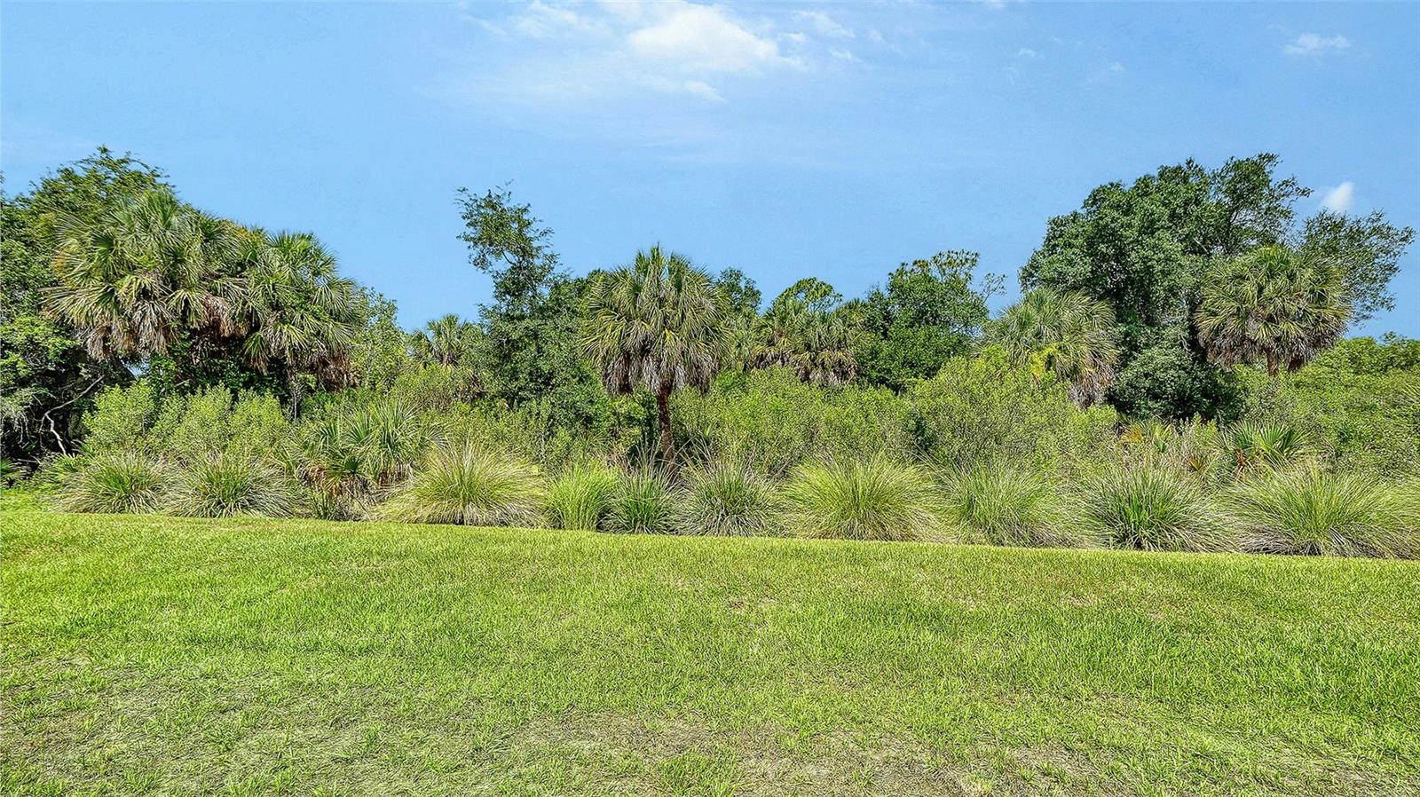 9940 CRYSTAL ISLES CIR — photo 47