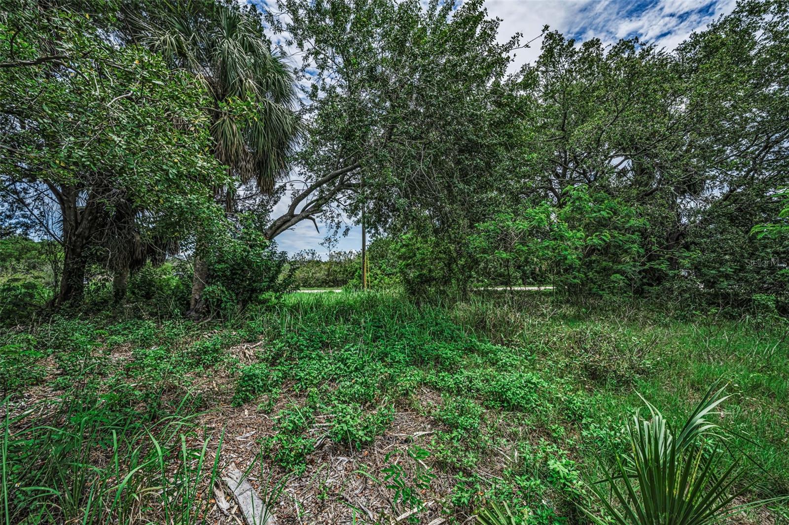 Lot 15 RICE RD — photo 12