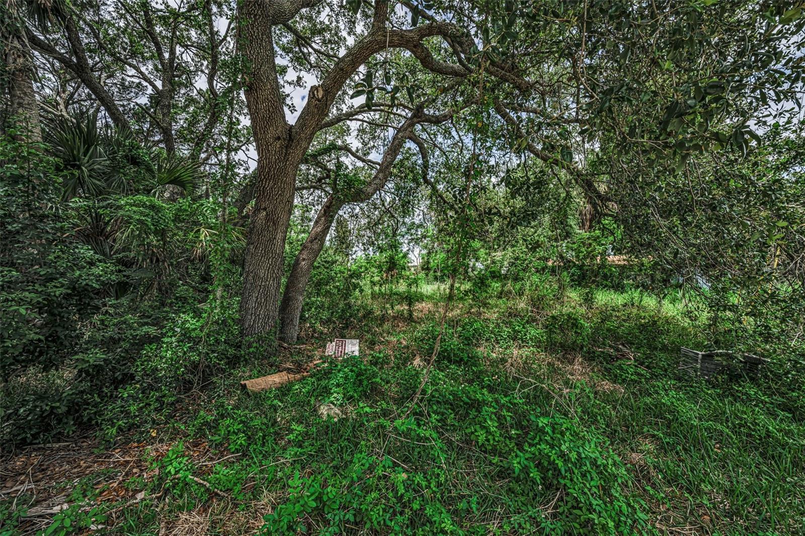 Lot 15 RICE RD — photo 18