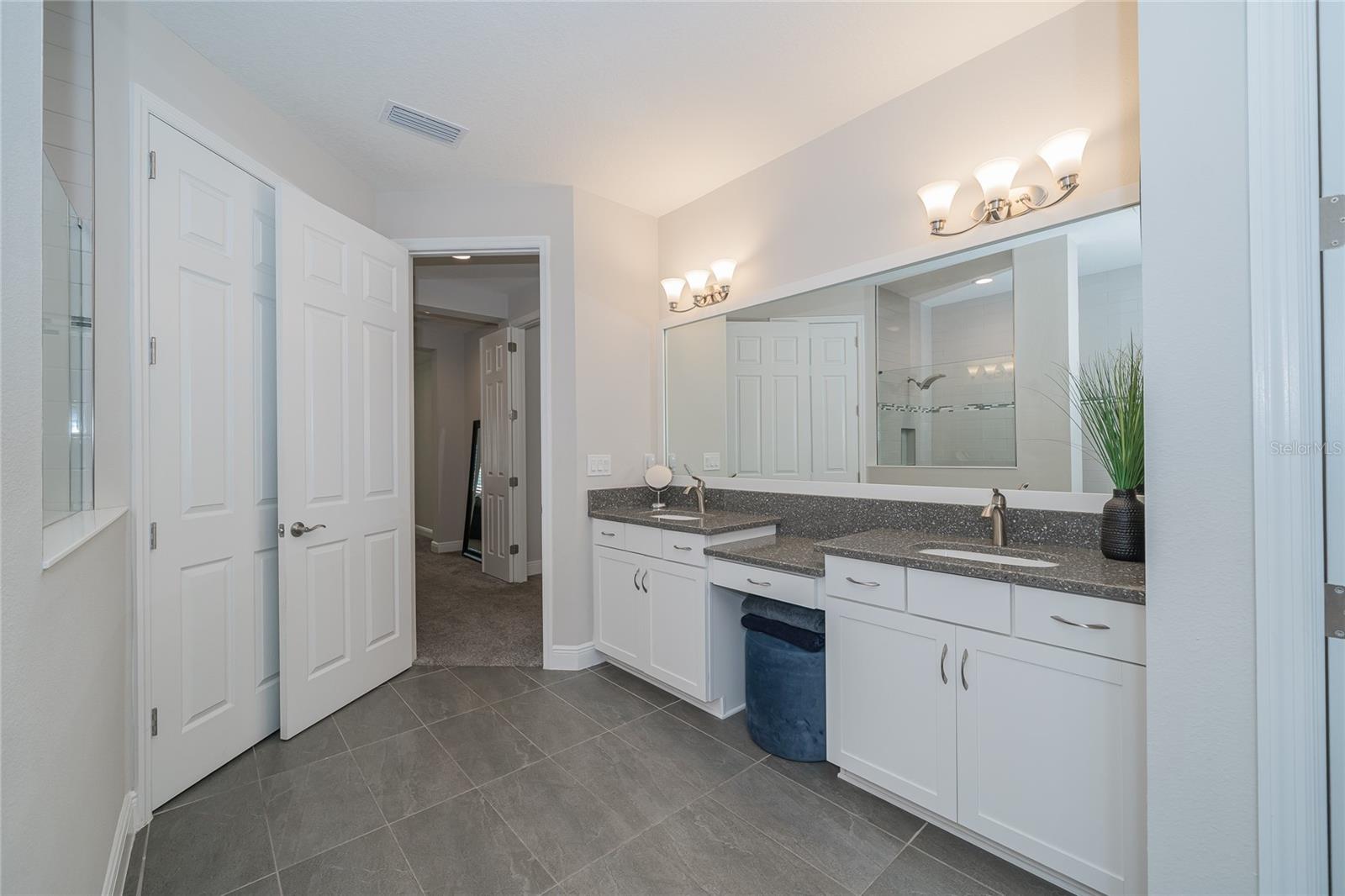8687 BIRCHLEAF COURT — photo 49