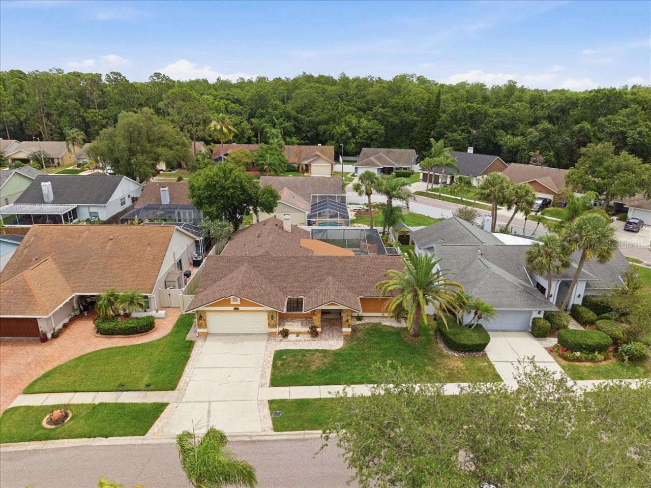 11803 SWEETPEA CT — photo 35