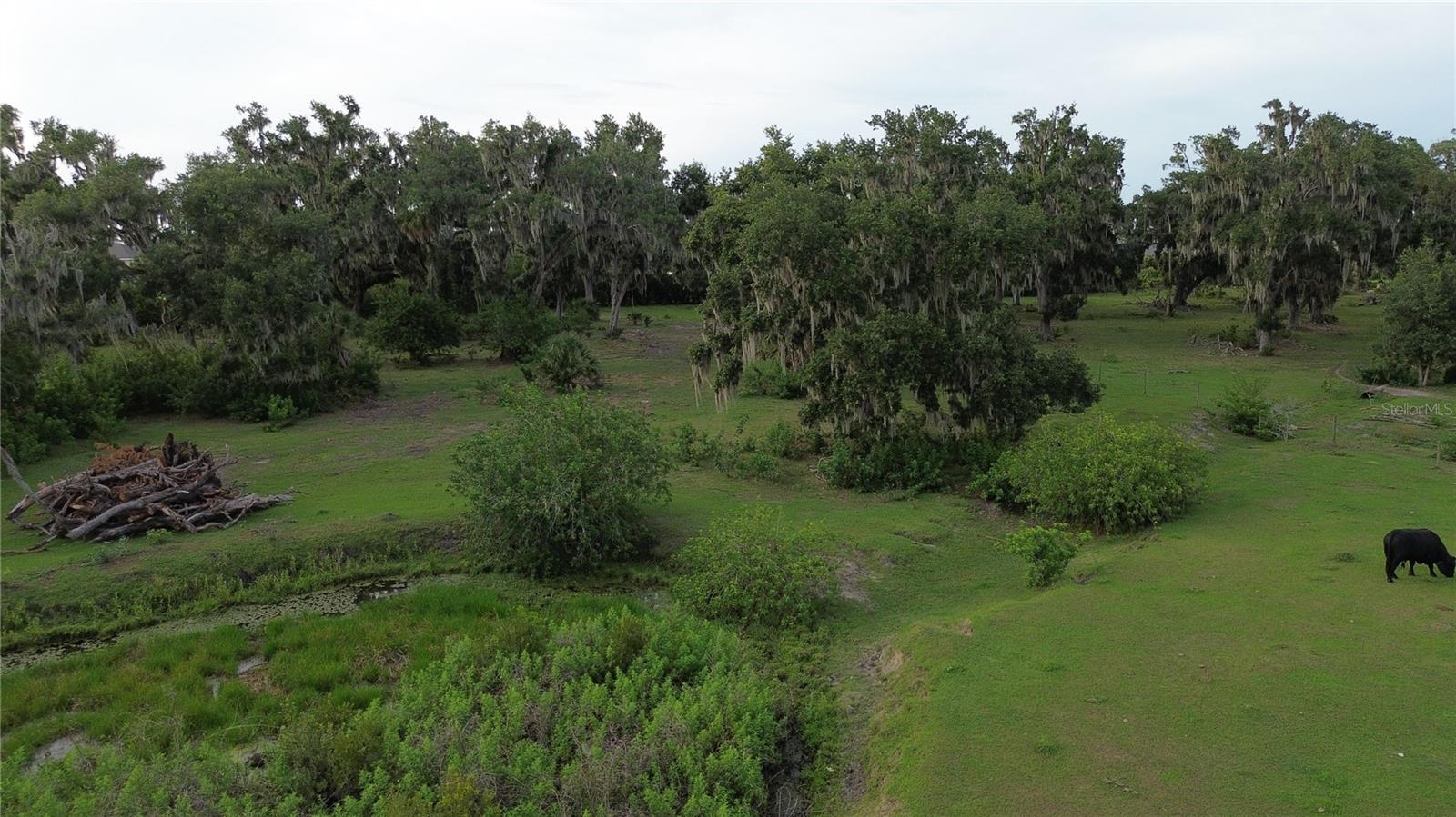 10900 OLD TAMPA RD — photo 5