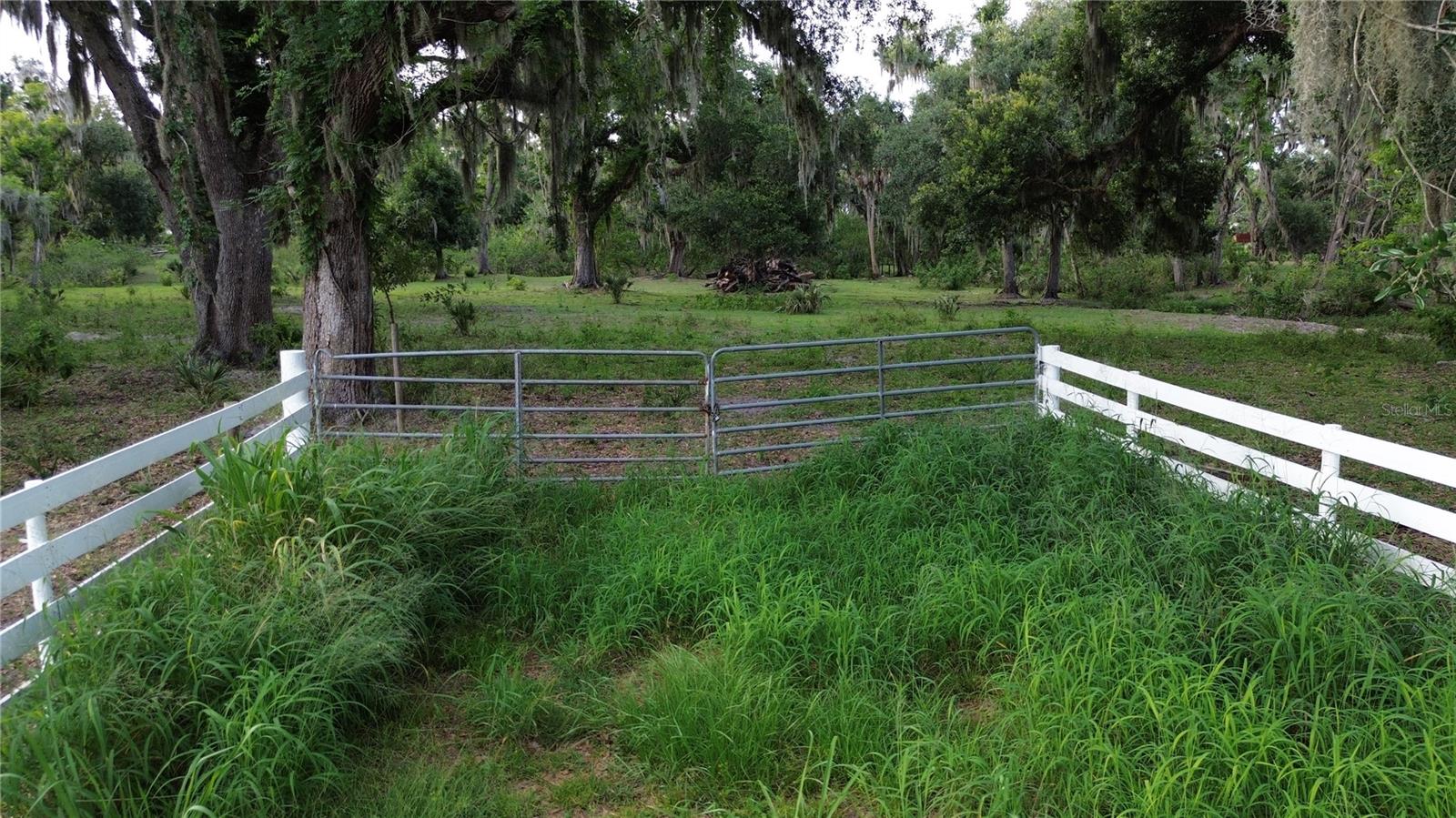 10900 OLD TAMPA RD — photo 2