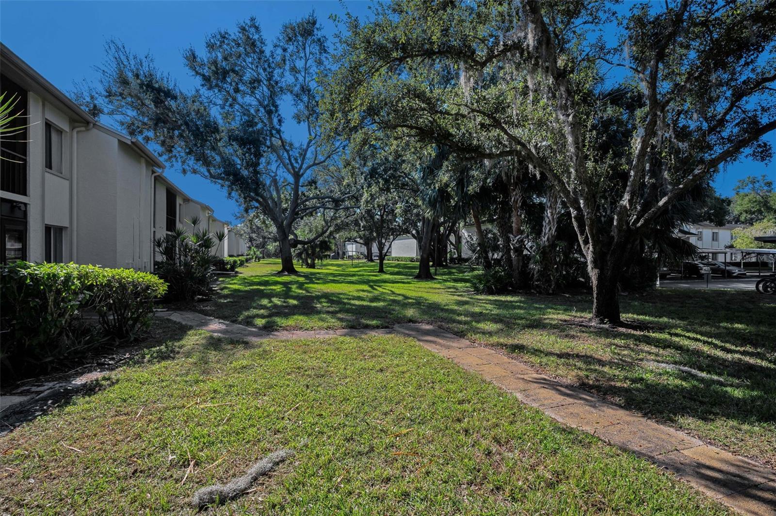 110 CYPRESS CT #3-82 — photo 31