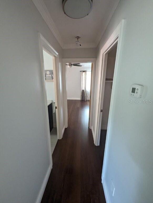 1602 AMBERLEA DR S — photo 13