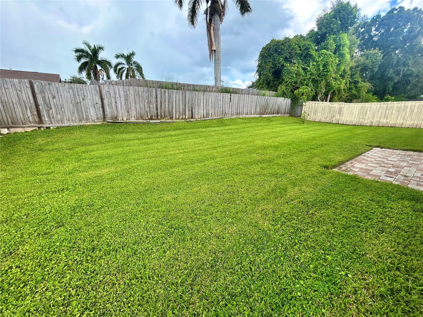 1444 OVERCASH DR — photo 20