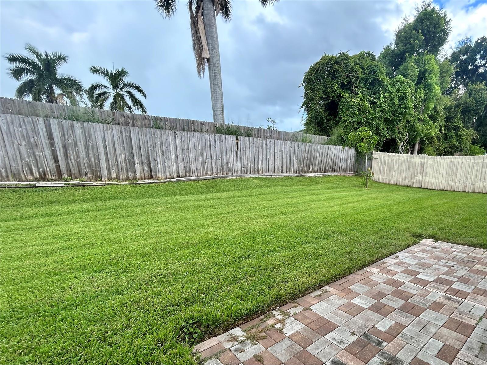 1444 OVERCASH DR — photo 22