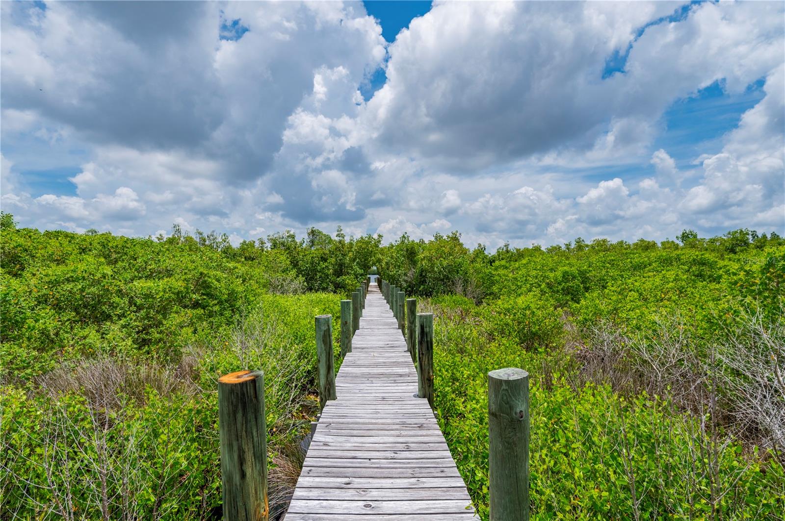 0 RIVERFRONT DR #Lot 6 — photo 12