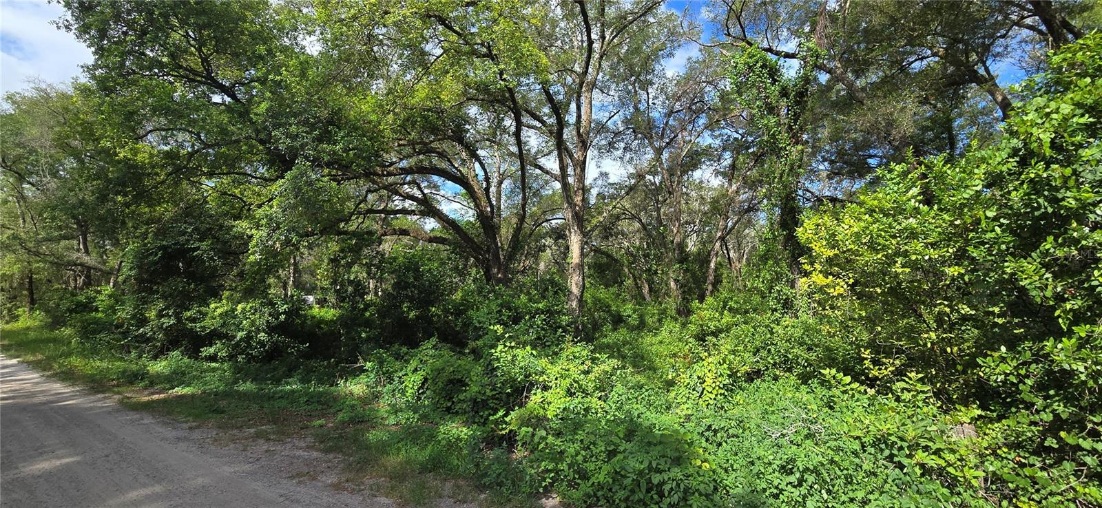 15621 DAYBREEZE DR — photo 3