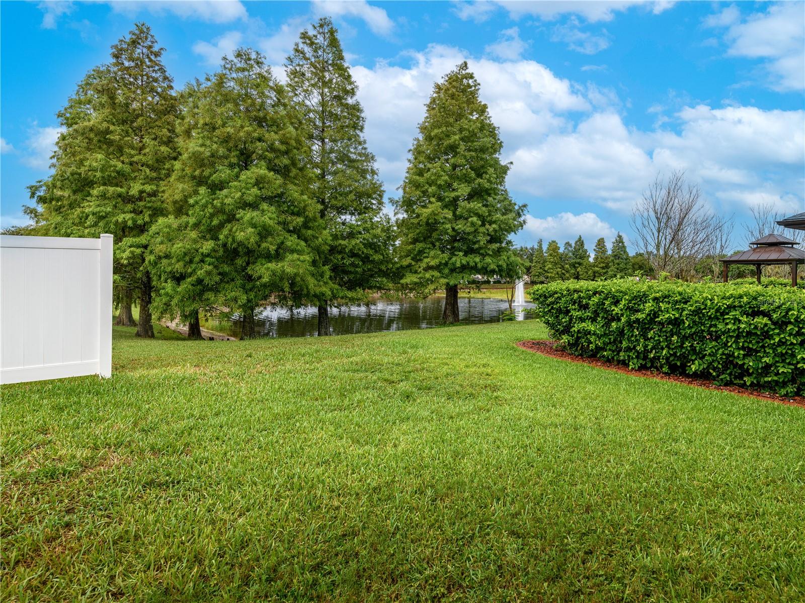 12833 GENEVA GLADE DR — photo 43
