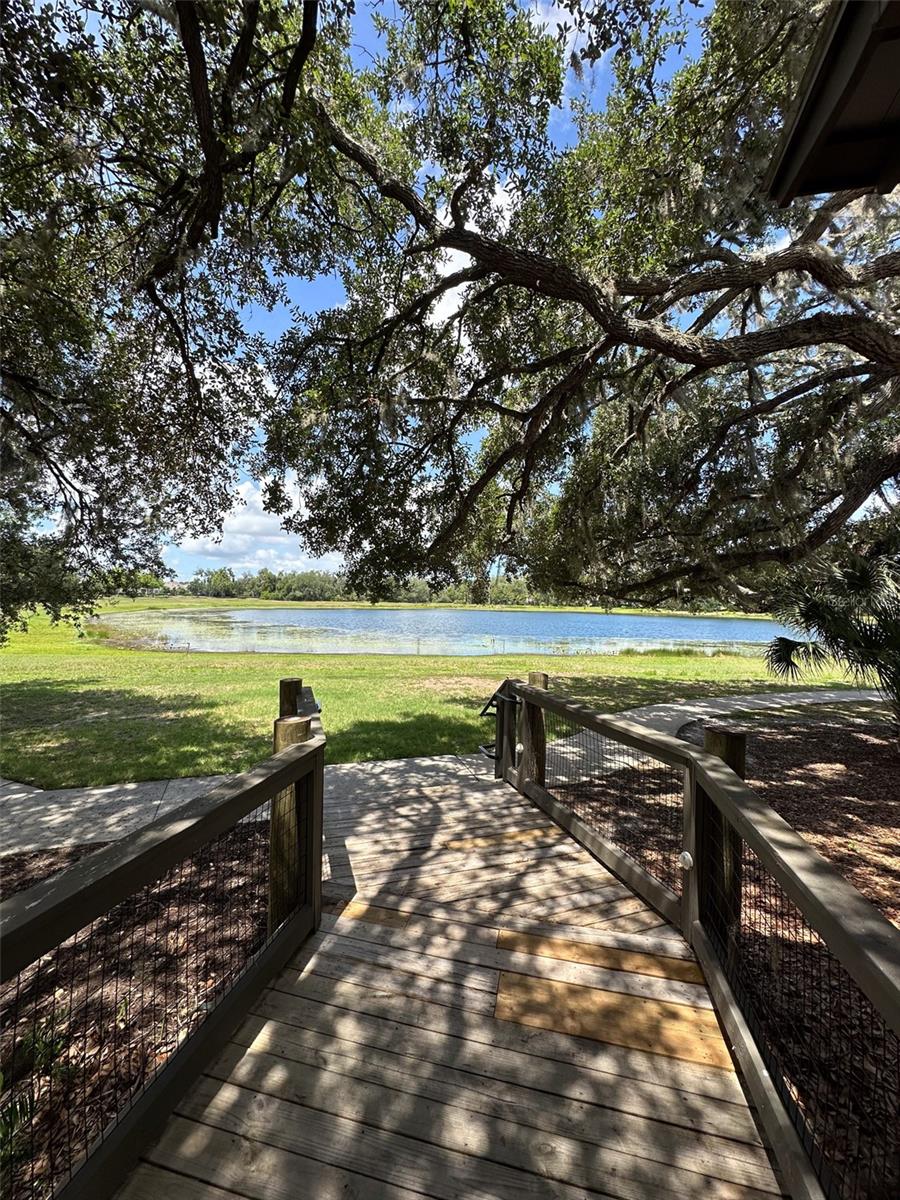 5732 SPOTTED HARRIER WAY — photo 56