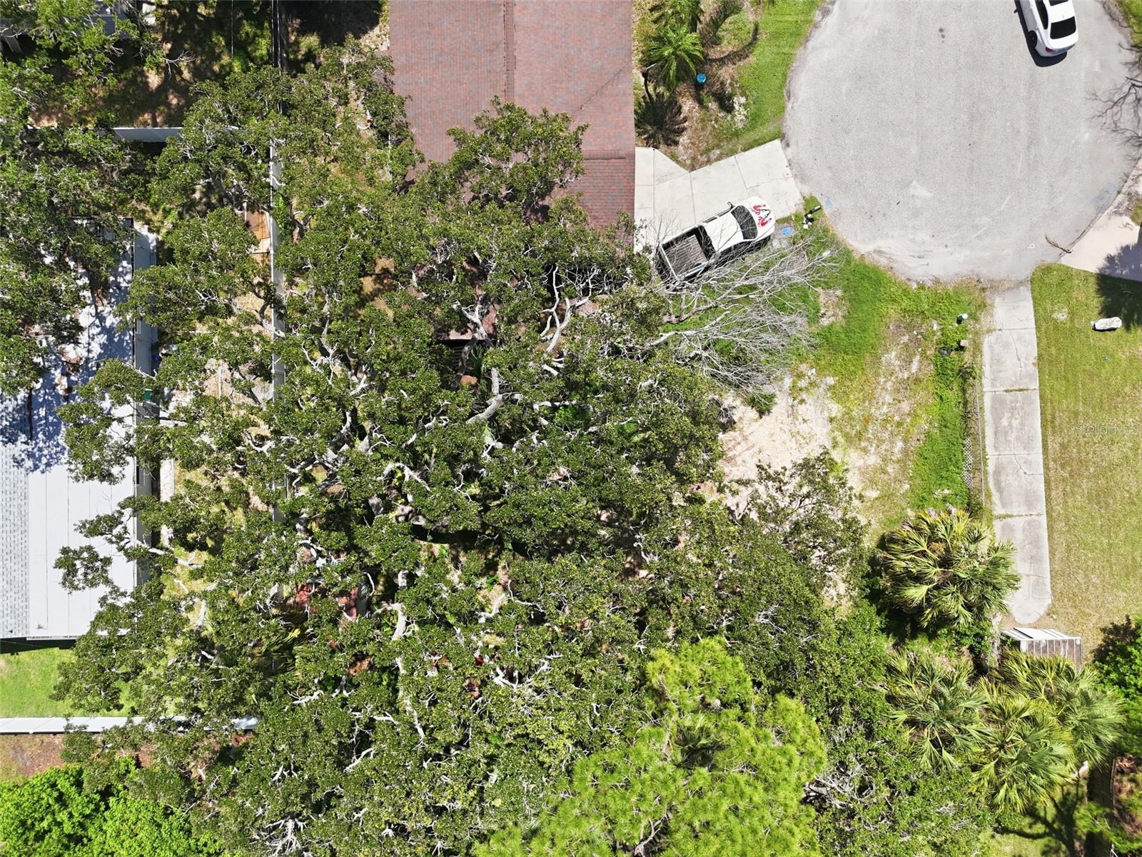 4925 AMHERST CT — photo 3
