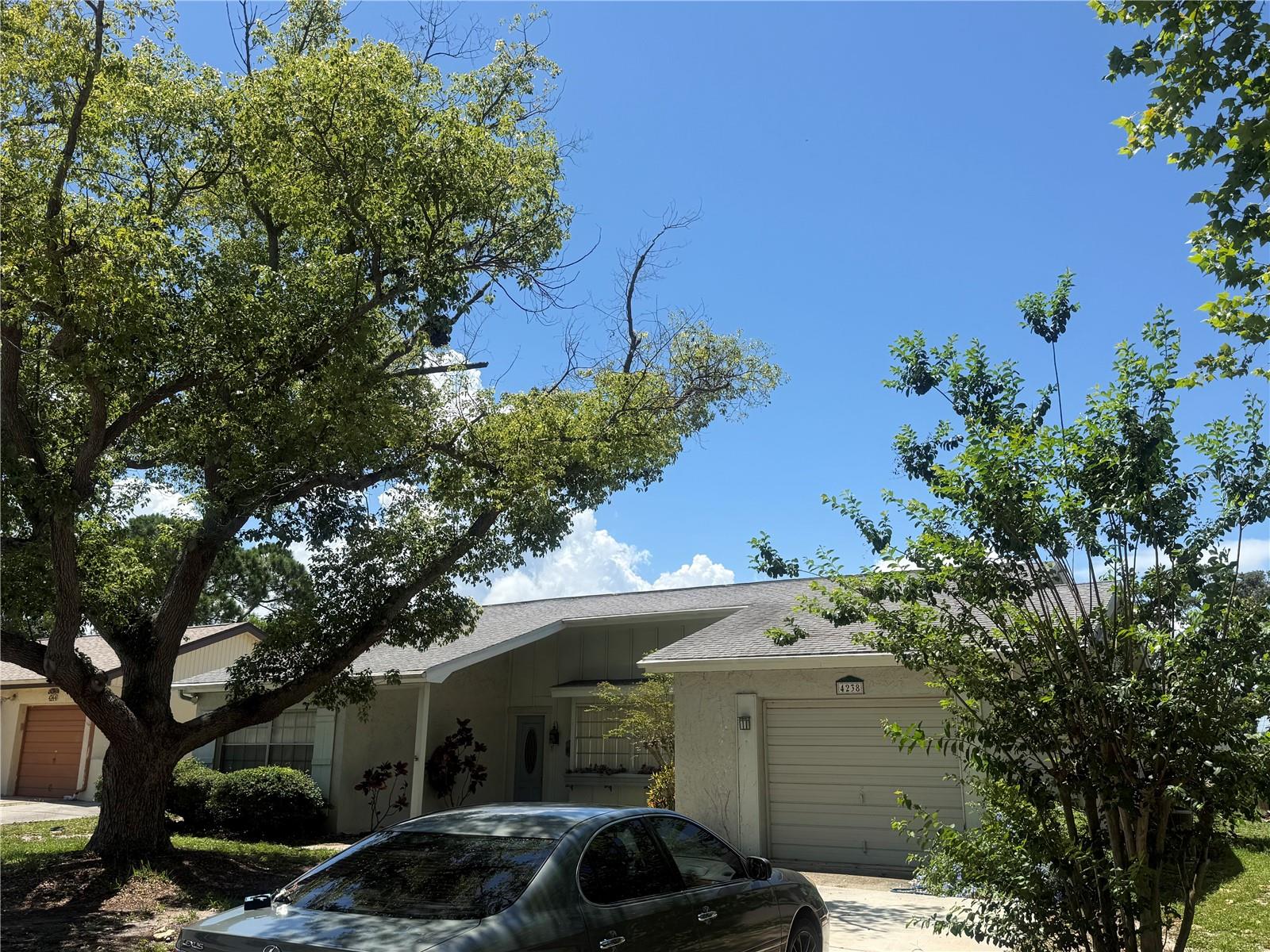 4238 PINEFIELD AVE — photo 57