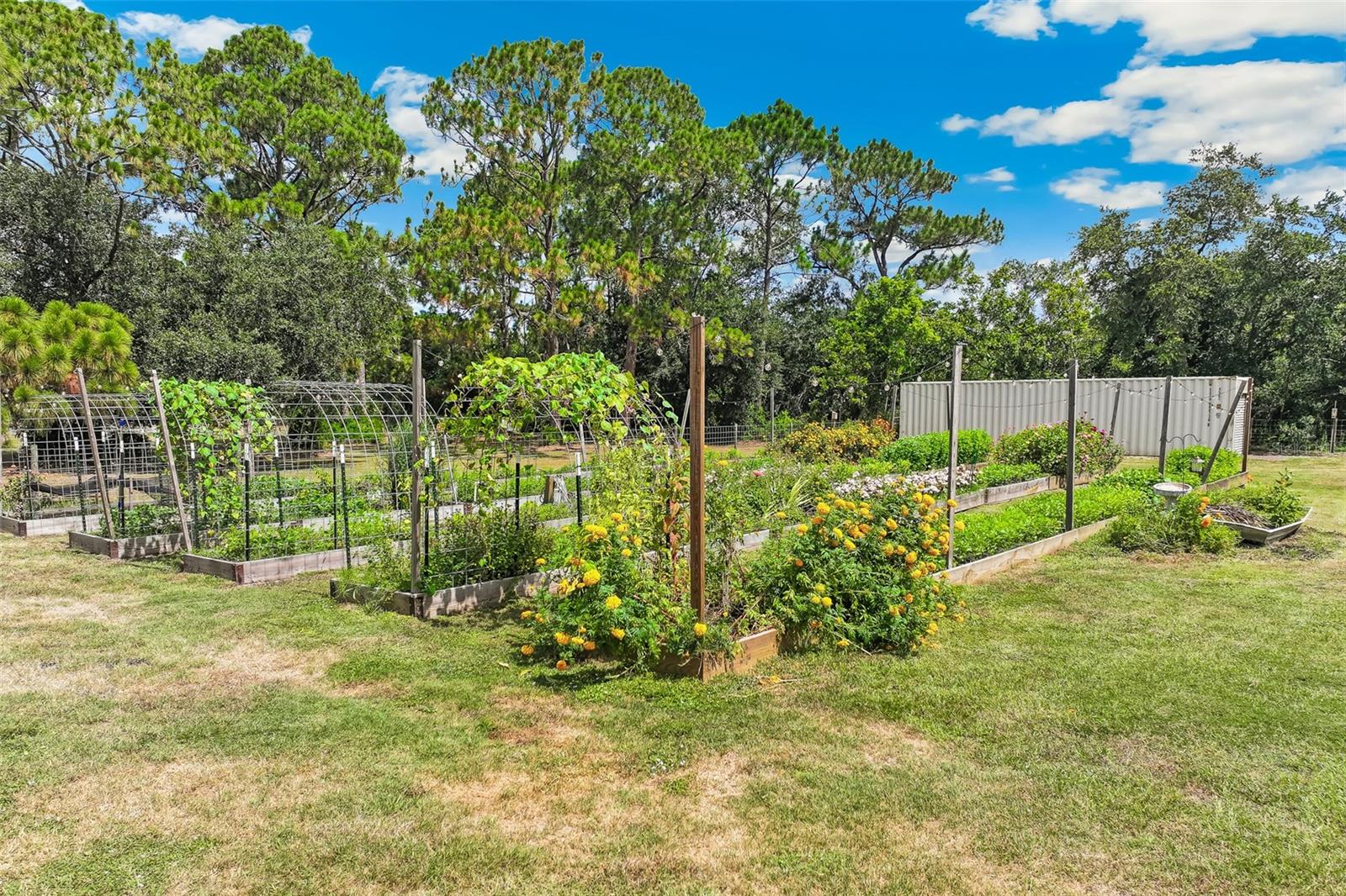 7565 CASTLE DR — photo 49