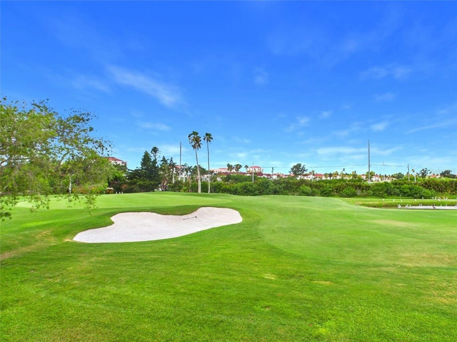 6335 PALMA DEL MAR BLVD S #223 — photo 16
