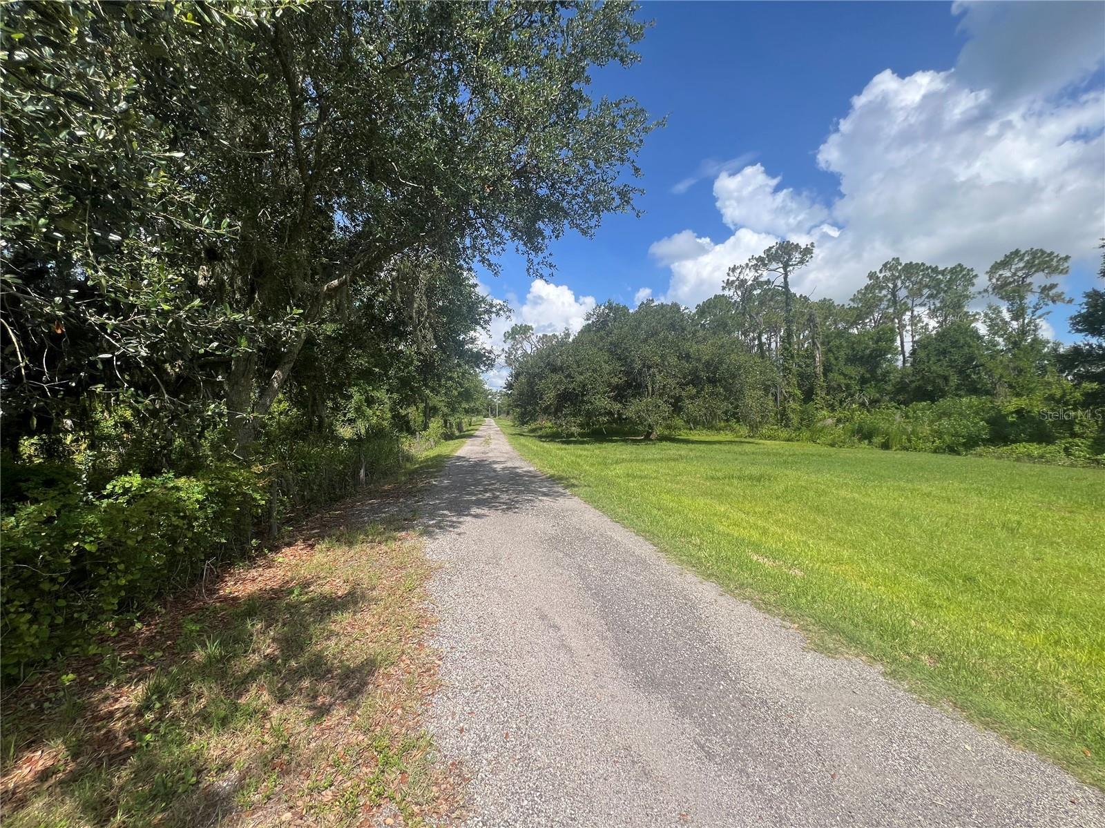 8755 WAUCHULA RD — photo 2