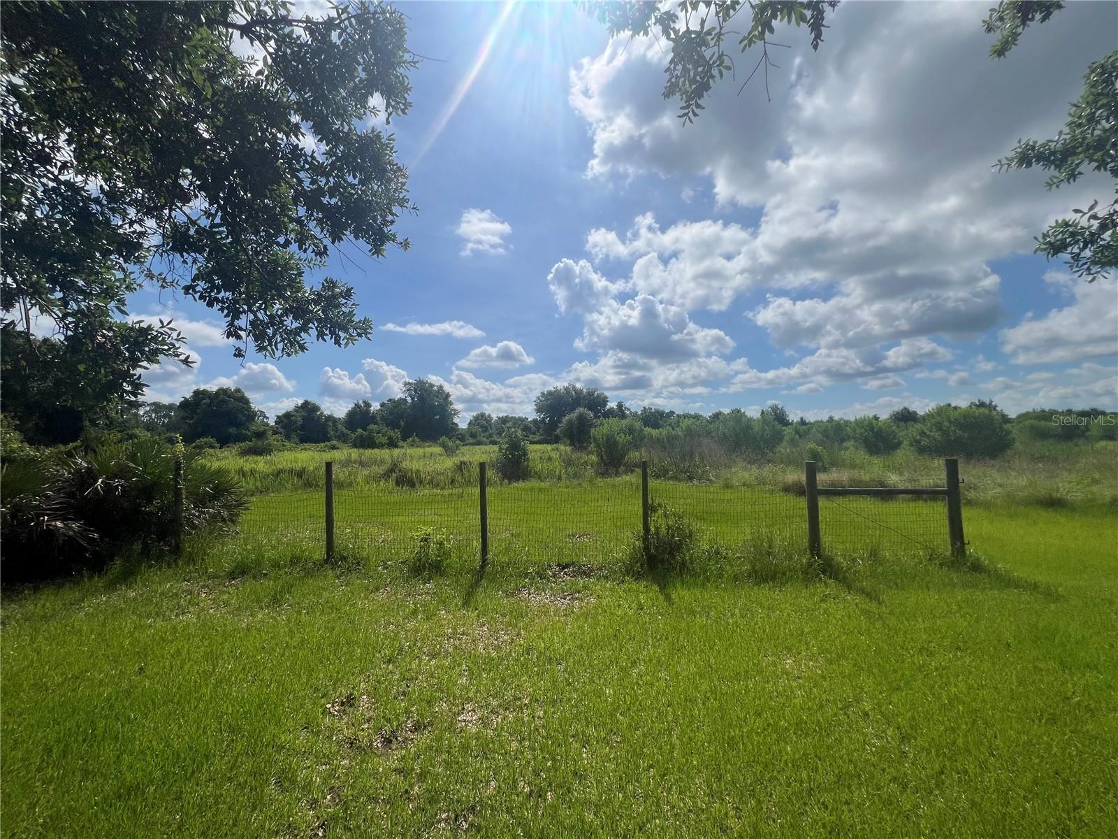 8755 WAUCHULA RD — photo 20