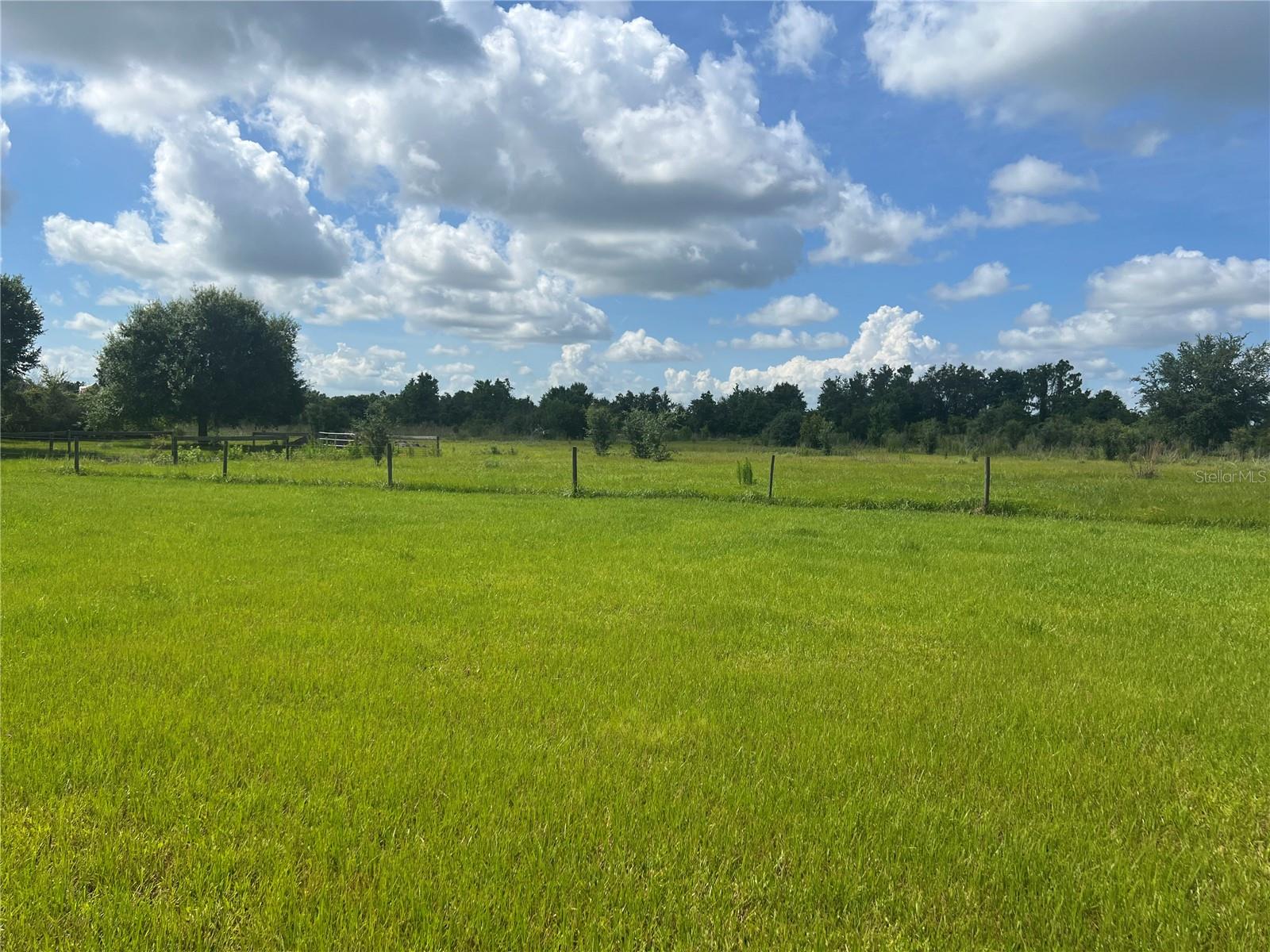 8755 WAUCHULA RD — photo 16