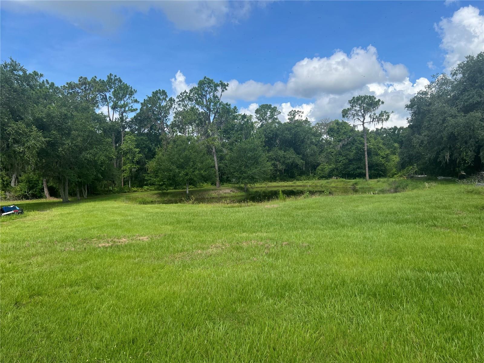 8755 WAUCHULA RD — photo 24