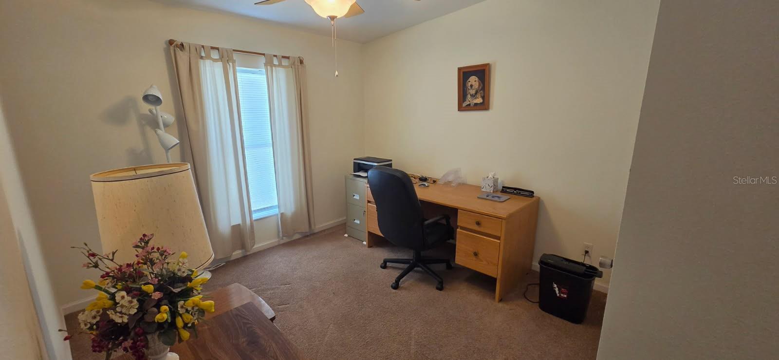 37437 GILL AVE — photo 16