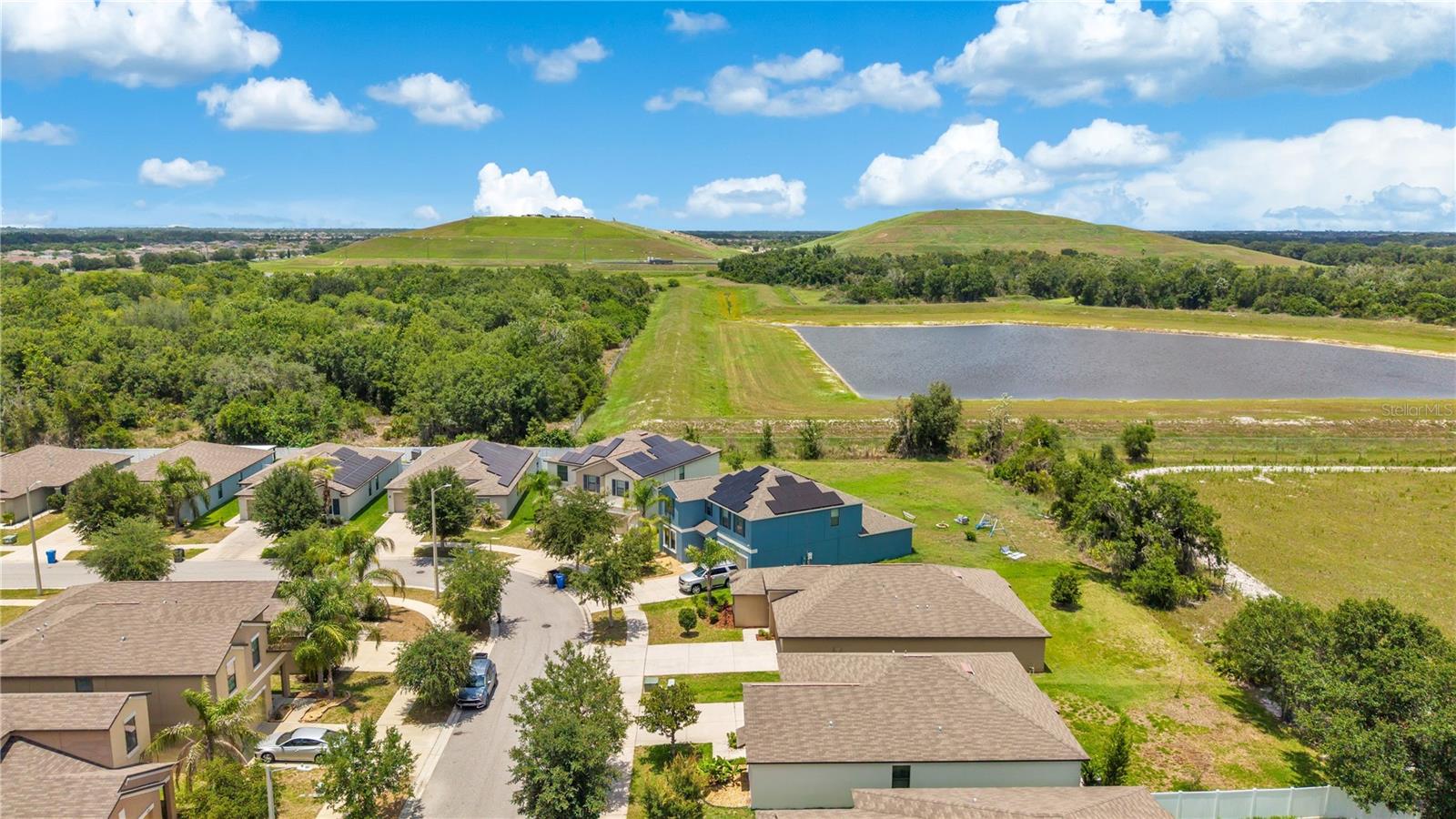 10116 CARLOWAY HILLS DR — photo 31