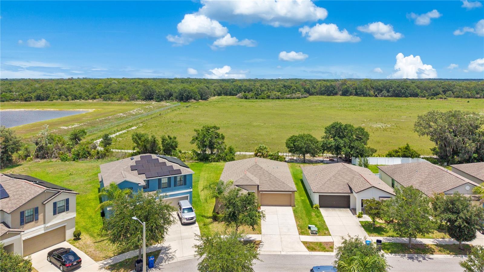 10116 CARLOWAY HILLS DR — photo 3